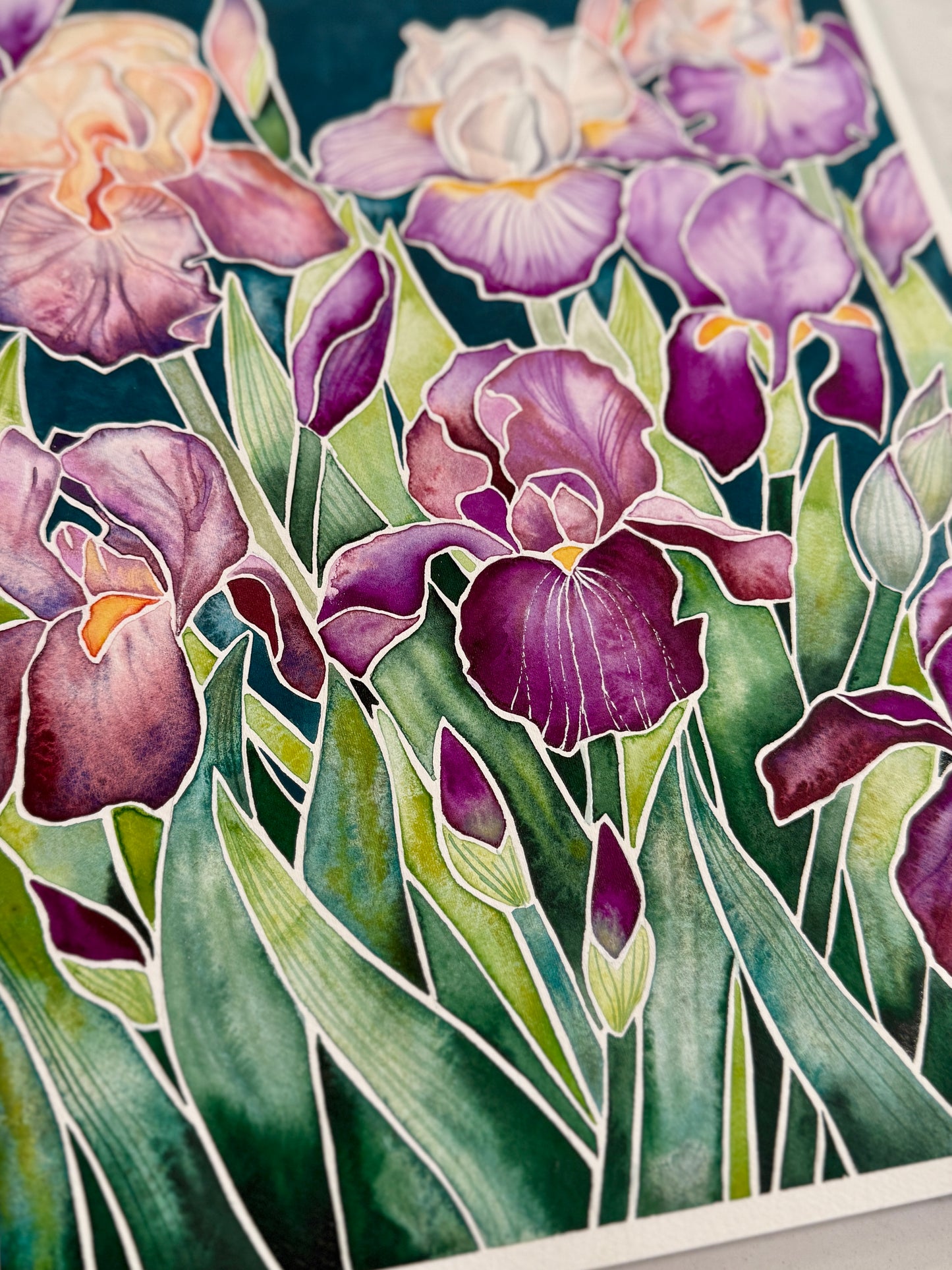 Violet Irises- Art Print