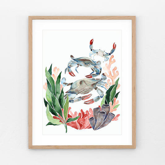 Three Blueclaws – Art Print